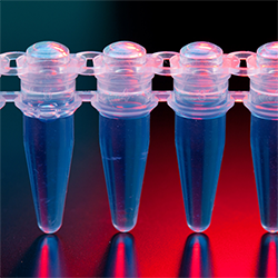 How to Minimize Contamination in Your qPCR Experiments