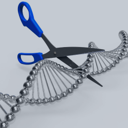 CRISPR/Cas9 Genetic Engineering – How Gilson Manual and Automated Pipetting Tools Facilitate the Process